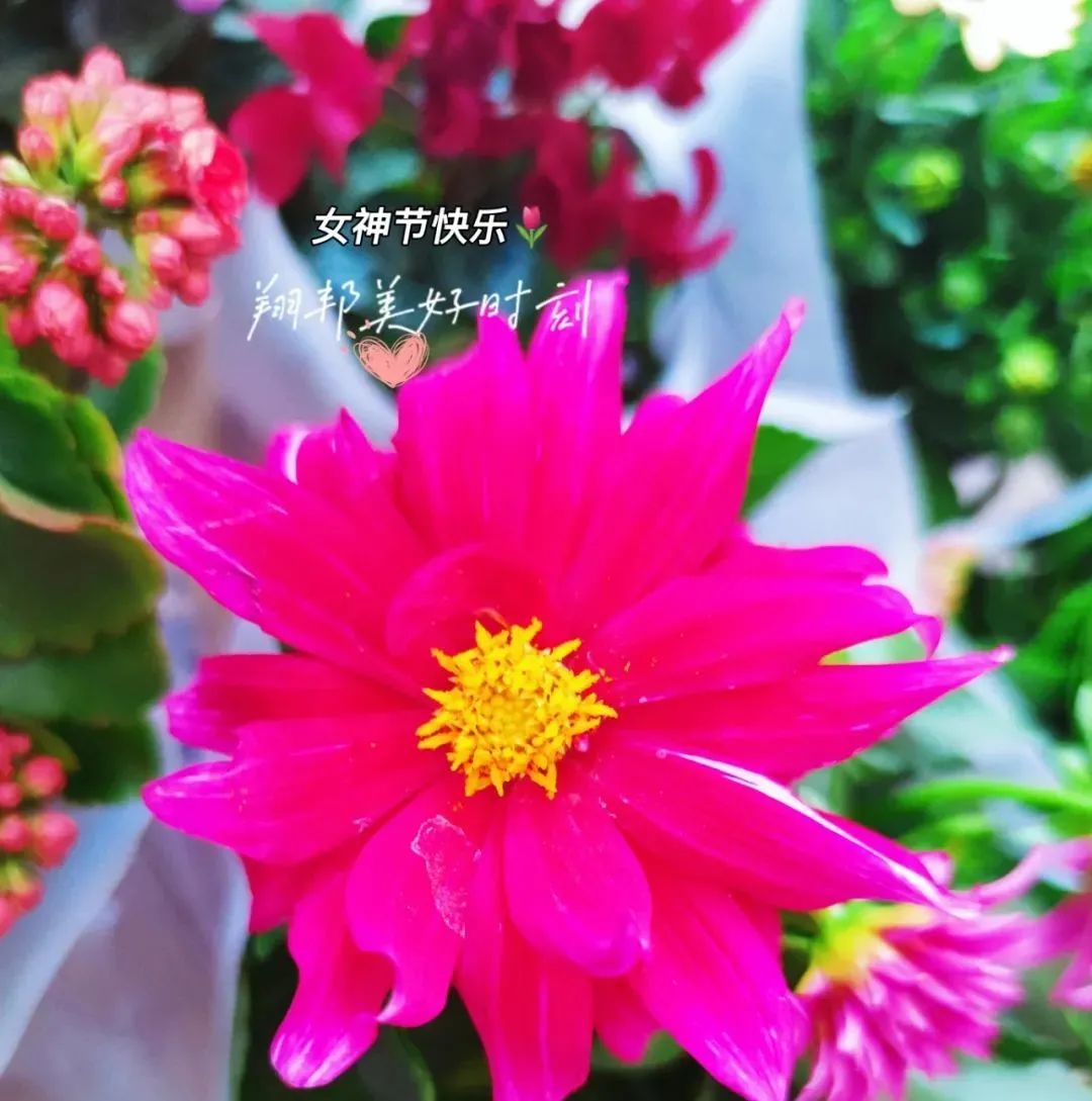 寰俊鍥剧墖_20220421092624.jpg