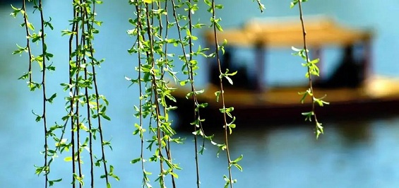 u=1459604706,961034165&fm=253&fmt=auto&app=138&f=JPEG.webp.jpg